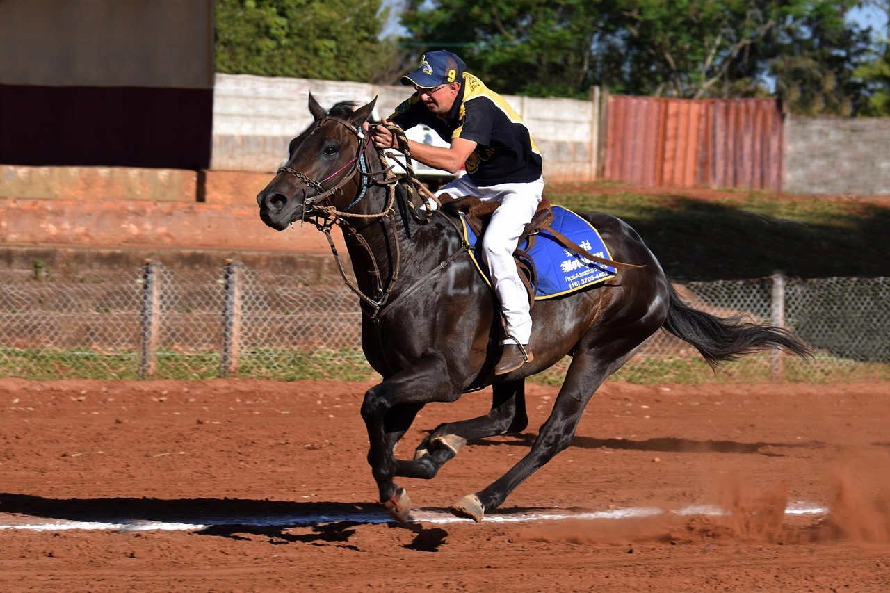 攻城三国:视频水印字幕购买平台