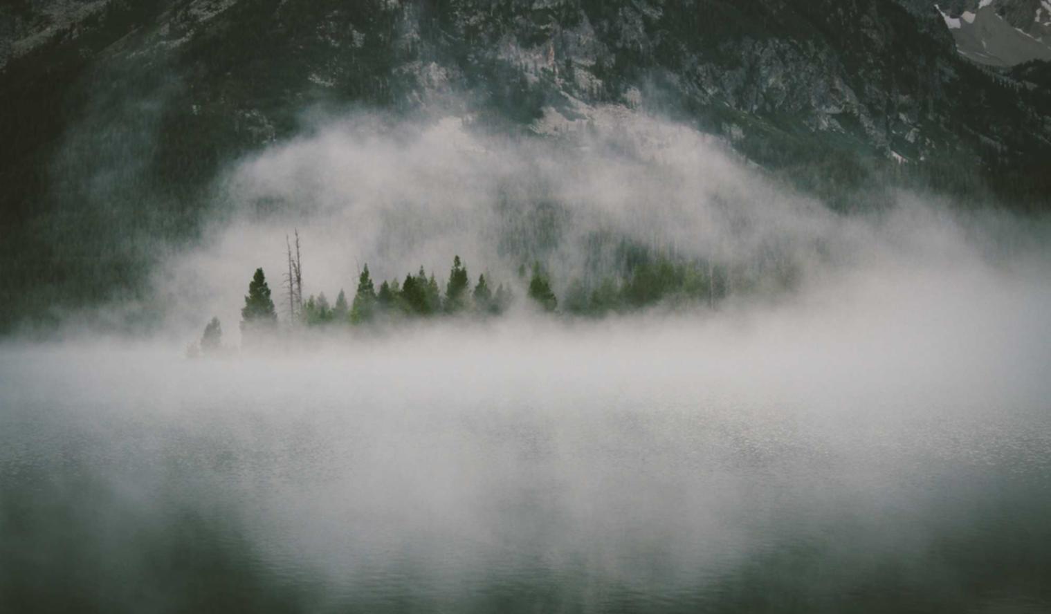 星美生活实名账号:借款平台如何代理