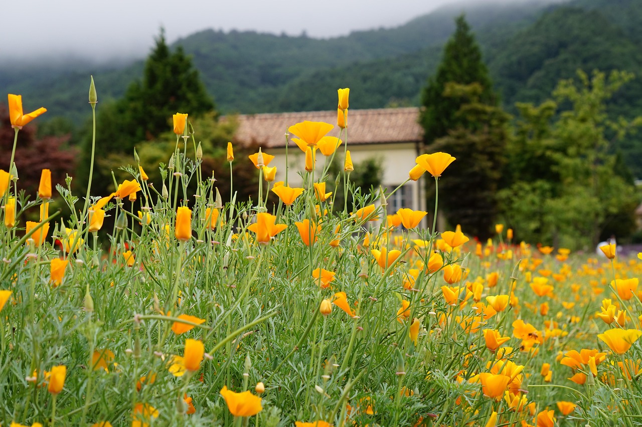 网络代理兼职平台