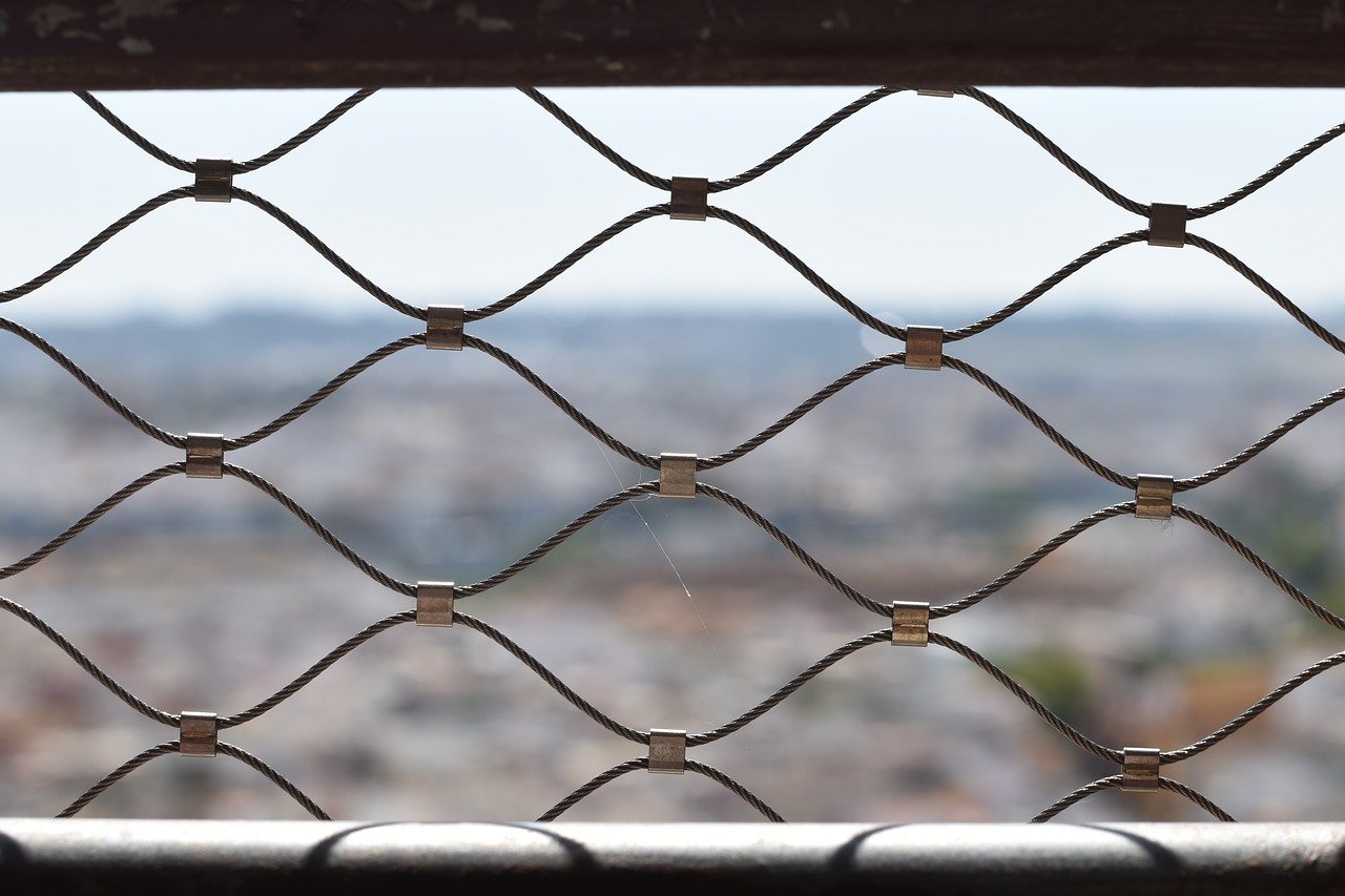 噩梦岛：草莓APP详情下载教程游戏软件