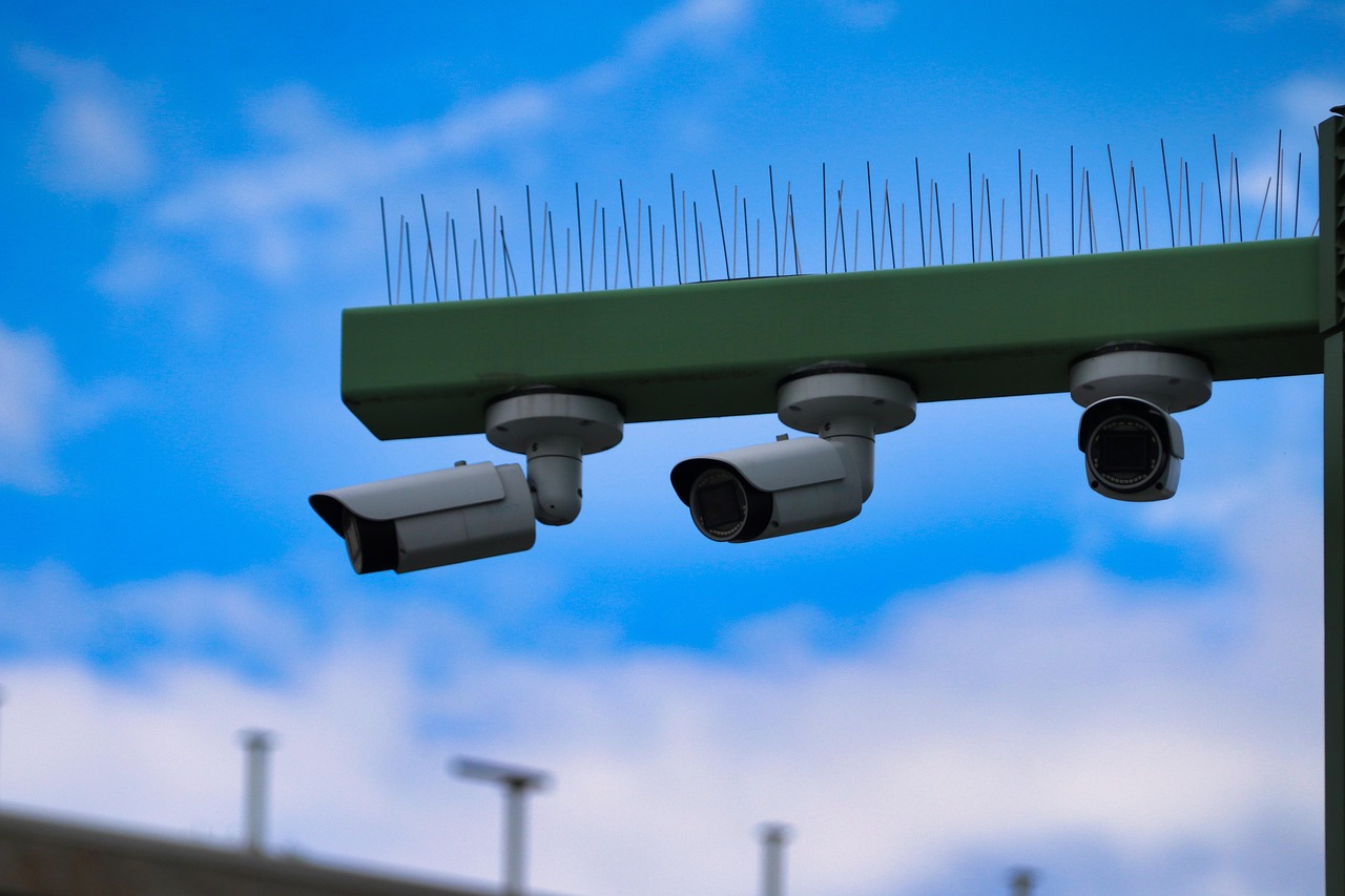 西部数码实名账号:详情下载教程共乐app安装到手机桌面