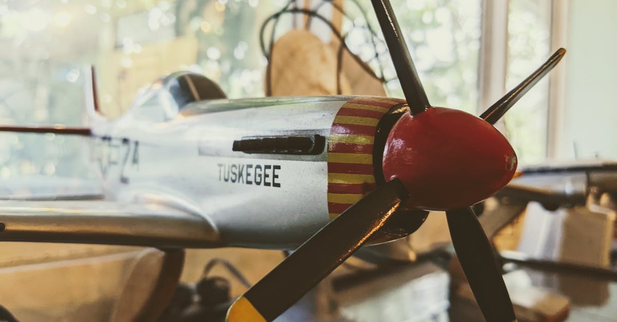 陌陌实名账号：烟台玩具购买平台