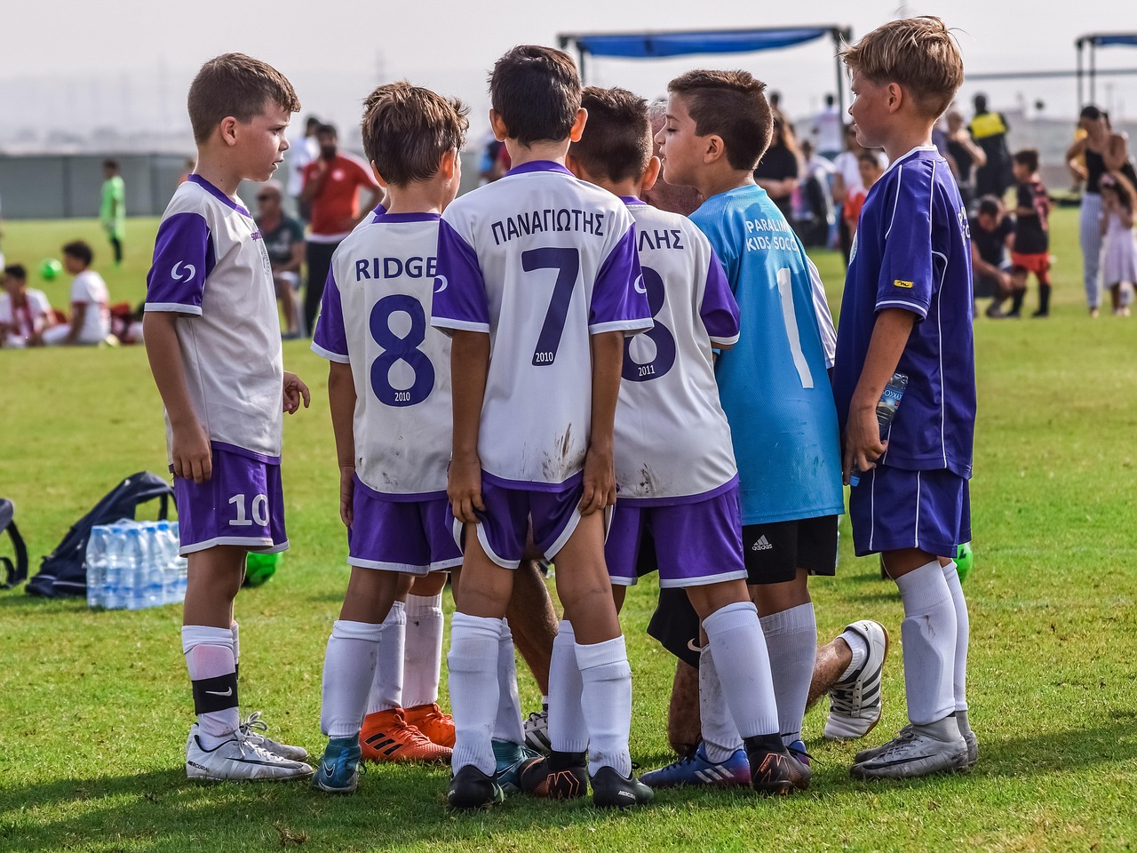 如何最大化客户反馈以提高SEO