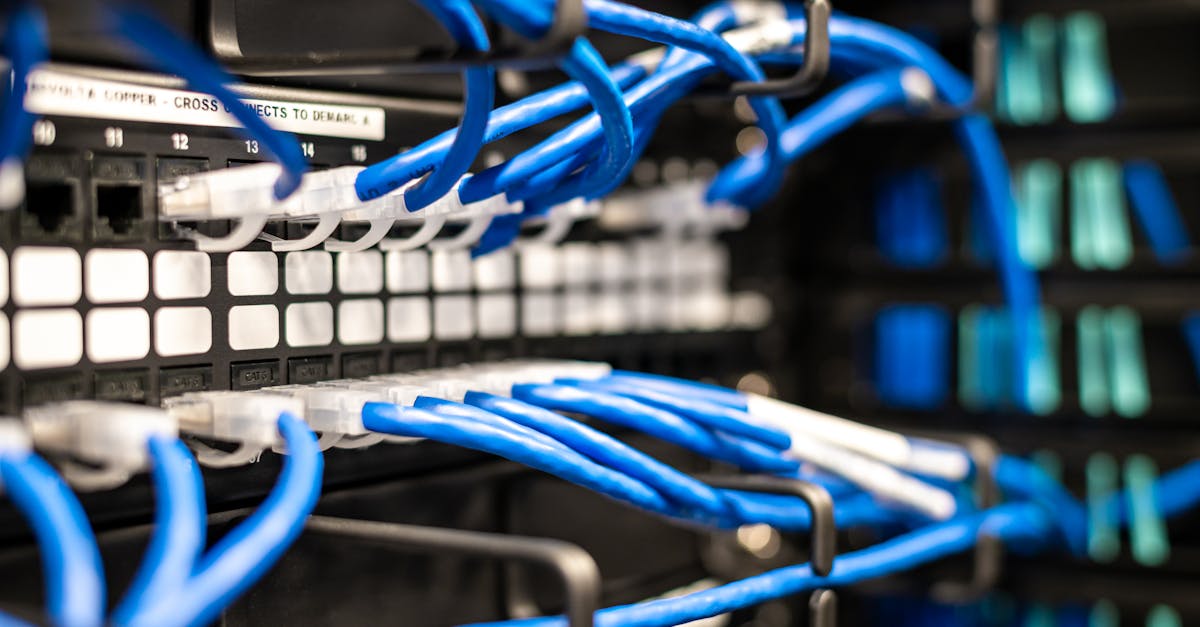 宝塔实名账号:详情下载教程巅峰训练app