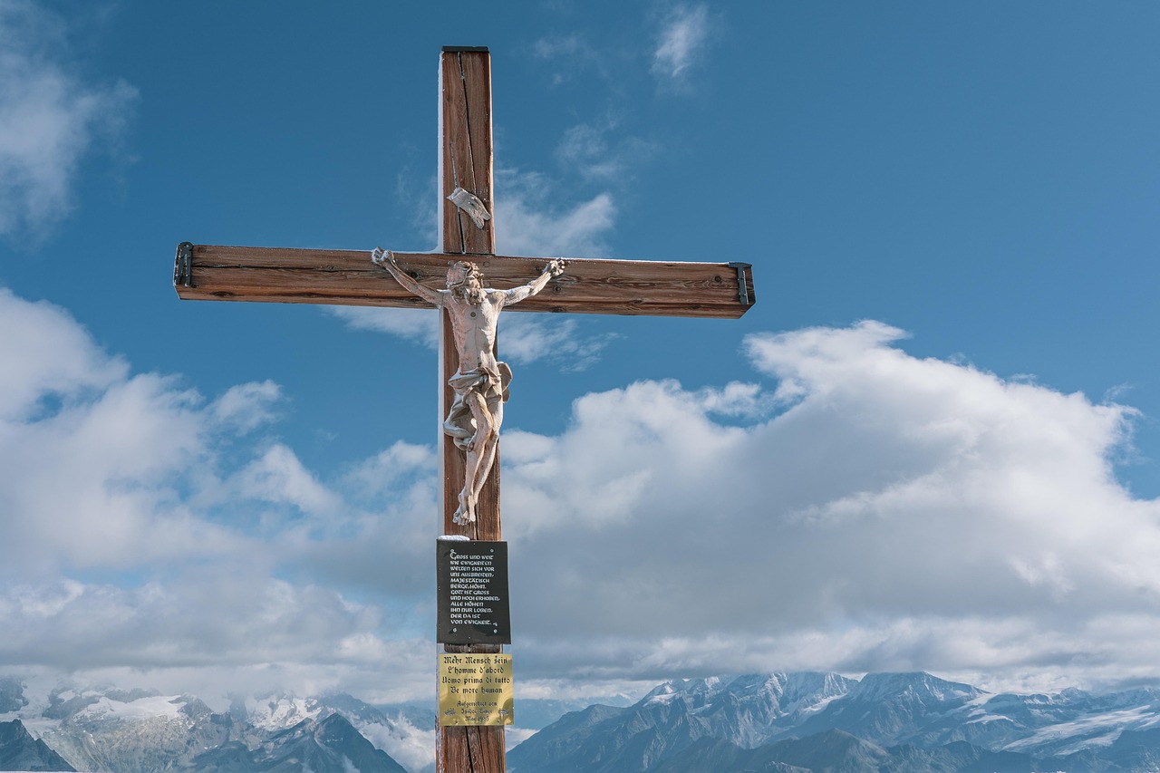 cc网页端|冷冻肉购买平台