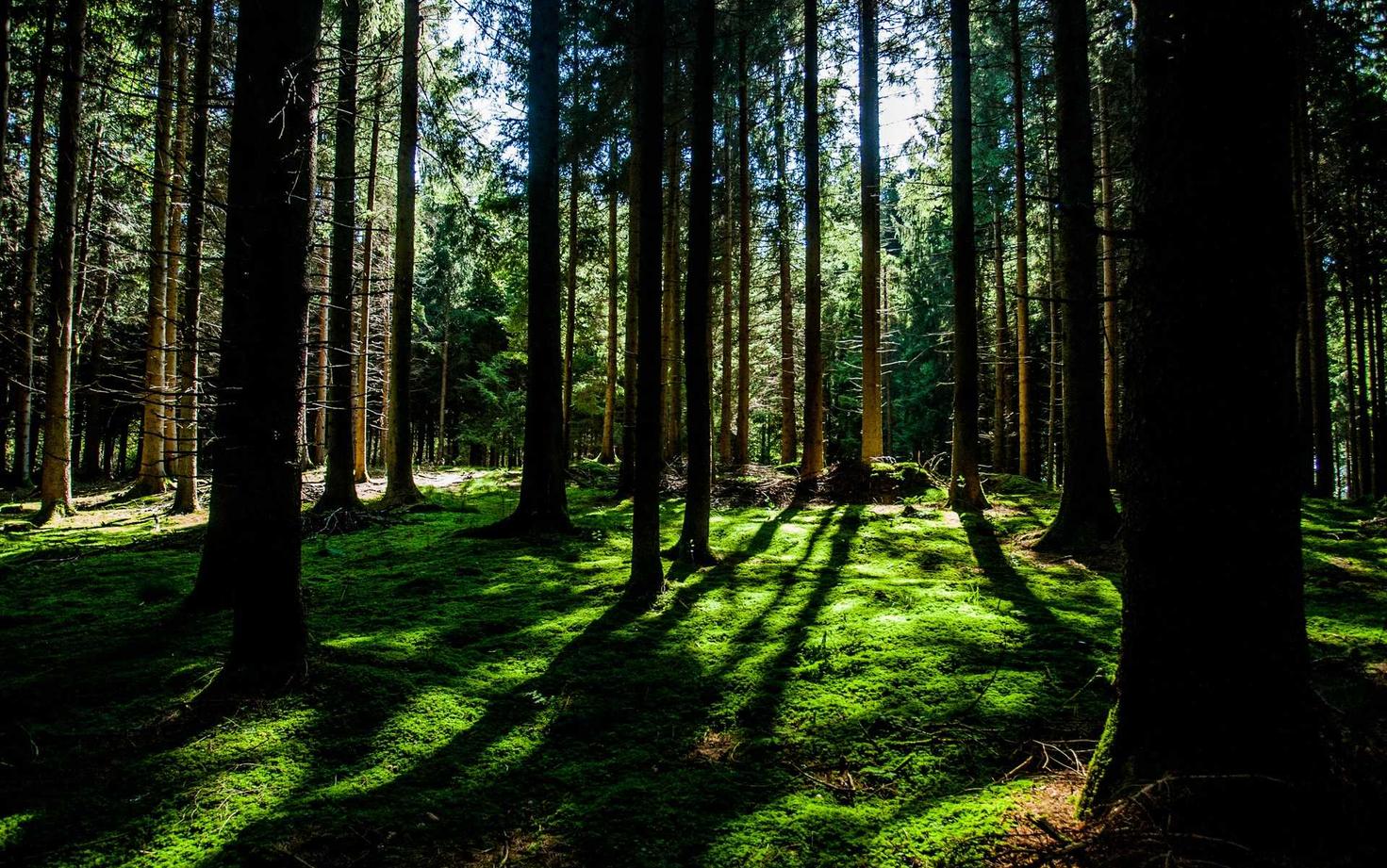 小米移动实名账号：注册代理专利