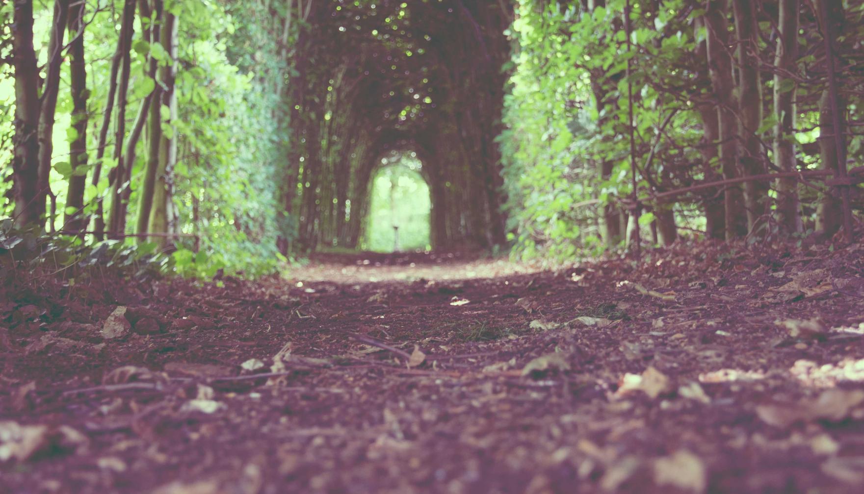 少年三国志：零：购买的抖音账号