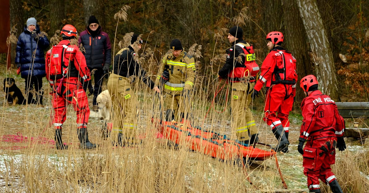 支付宝认证资料：优选服务平台代理