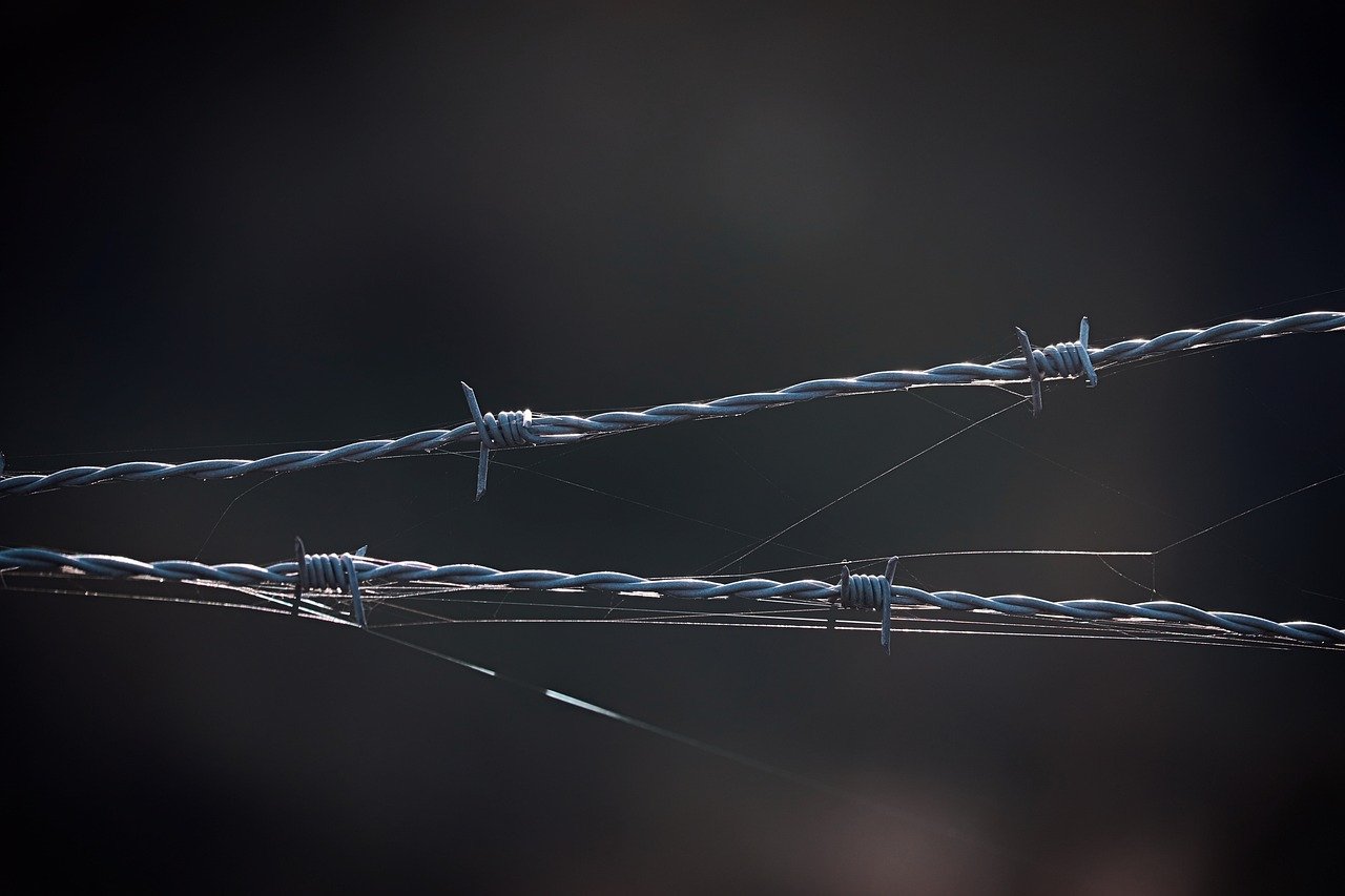 优酷移动实名账号：流量卡和搜索引擎的合作